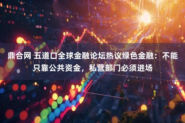 鼎合网 五道口全球金融论坛热议绿色金融：不能只靠公共资金，私营部门必须进场