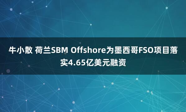 牛小散 荷兰SBM Offshore为墨西哥FSO项目落实4.65亿美元融资