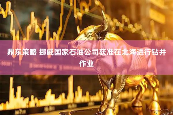 鼎东策略 挪威国家石油公司获准在北海进行钻井作业