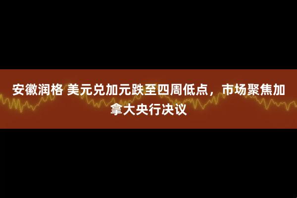 安徽润格 美元兑加元跌至四周低点,市场聚焦加拿大央行决议